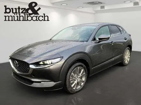 Used MAZDA CX-30 Petrol 2024 Ad 