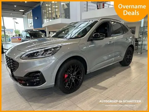 Annonce FORD KUGA Hybride 2024 d'occasion Belgique