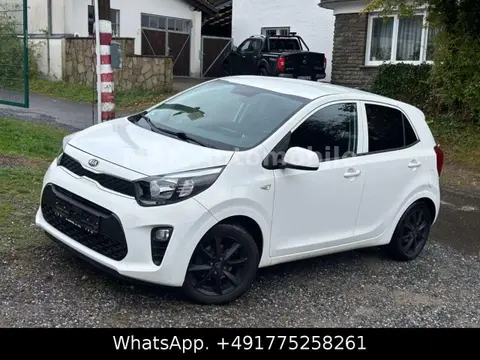 Annonce KIA PICANTO Essence 2017 d'occasion 