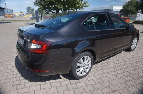 Used SKODA OCTAVIA Diesel 2019 Ad 