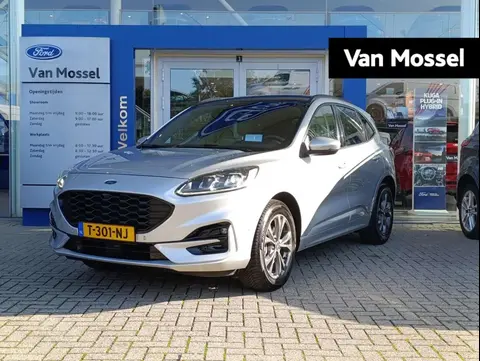 Used FORD KUGA Hybrid 2021 Ad 