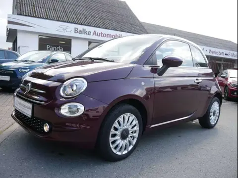 Used FIAT 500 Petrol 2020 Ad 