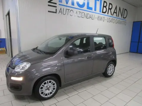 Used FIAT PANDA Hybrid 2020 Ad 