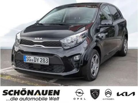 Used KIA PICANTO Petrol 2024 Ad 