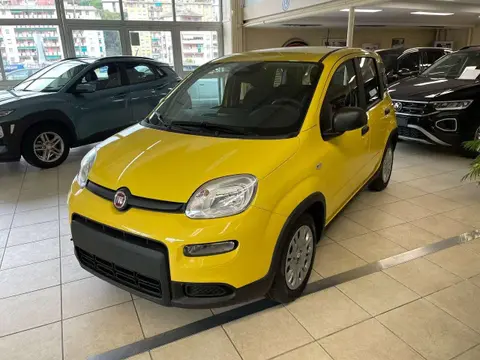 Used FIAT PANDA Hybrid 2024 Ad 