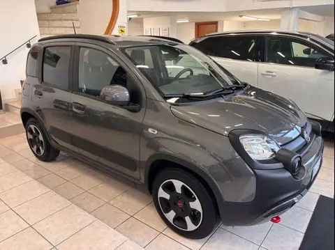 Used FIAT PANDA Hybrid 2023 Ad 