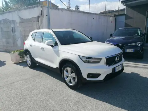 Annonce VOLVO XC40 Diesel 2019 d'occasion 