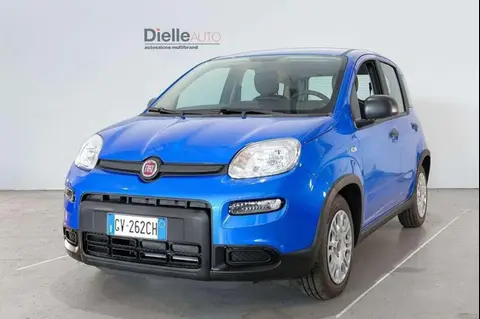 Used FIAT PANDA Hybrid 2024 Ad 