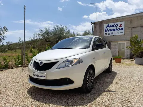 Used LANCIA YPSILON Petrol 2019 Ad 