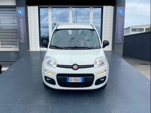 Annonce FIAT PANDA Essence 2020 d'occasion 