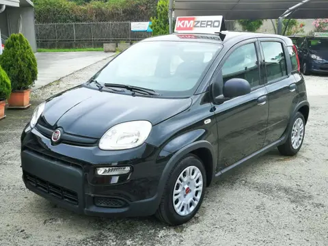 Used FIAT PANDA Hybrid 2024 Ad 