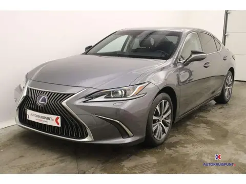 Annonce LEXUS ES Hybride 2020 d'occasion 