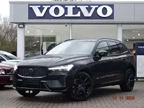 Used VOLVO XC60 Hybrid 2024 Ad 