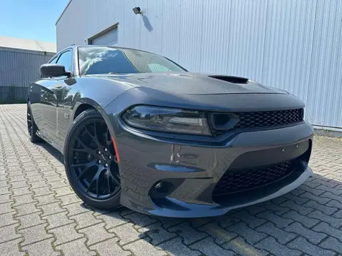 Annonce DODGE CHARGER Essence 2019 d'occasion 