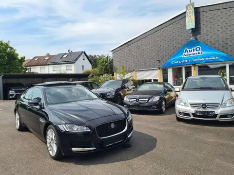 Annonce JAGUAR XF Diesel 2016 d'occasion 