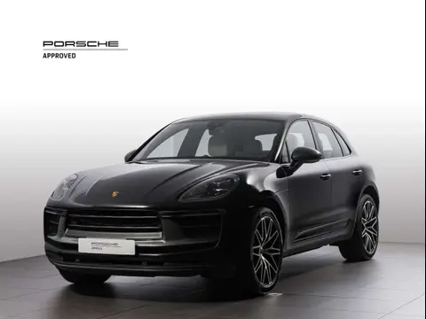 Used PORSCHE MACAN Petrol 2023 Ad 