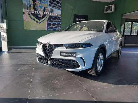 Annonce ALFA ROMEO TONALE Diesel 2023 d'occasion 