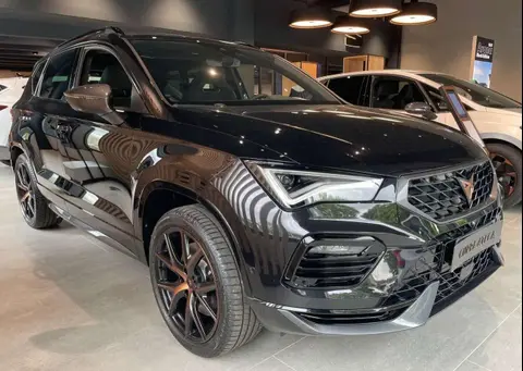 Annonce CUPRA ATECA Essence 2024 d'occasion 