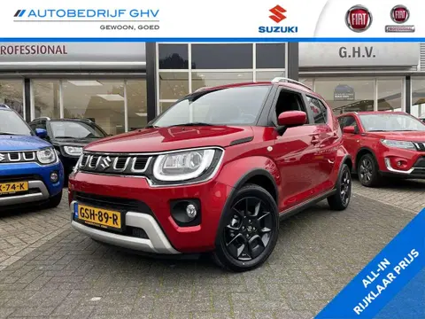 Annonce SUZUKI IGNIS Hybride 2024 d'occasion 