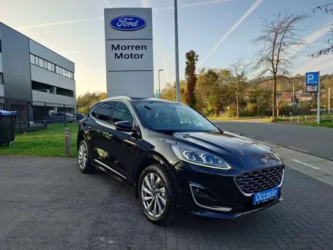 Used FORD KUGA Hybrid 2023 Ad 