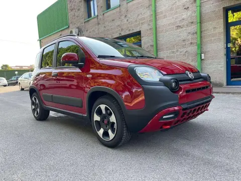 Annonce FIAT PANDA Hybride 2024 d'occasion 