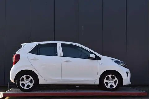 Used KIA PICANTO Petrol 2020 Ad 