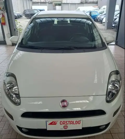 Annonce FIAT PUNTO Diesel 2018 d'occasion 