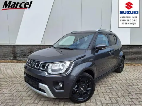 Annonce SUZUKI IGNIS Essence 2024 d'occasion 