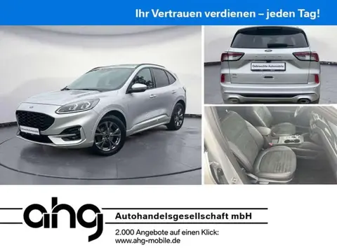 Annonce FORD KUGA Diesel 2020 d'occasion 