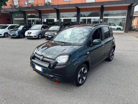 Annonce FIAT PANDA Hybride 2023 d'occasion 