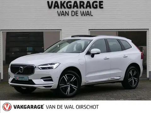 Used VOLVO XC60 Hybrid 2018 Ad 