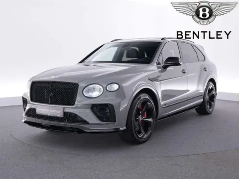 Annonce BENTLEY BENTAYGA Hybride 2024 d'occasion 