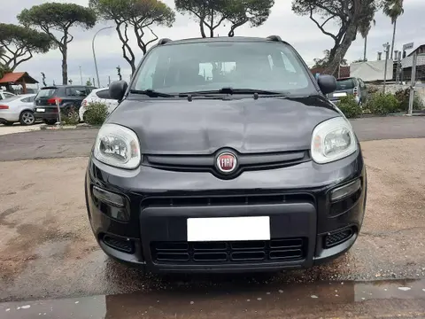 Annonce FIAT PANDA Hybride 2021 d'occasion 