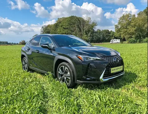 Used LEXUS UX Hybrid 2022 Ad 