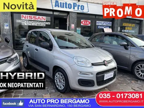 Annonce FIAT PANDA Hybride 2021 d'occasion 