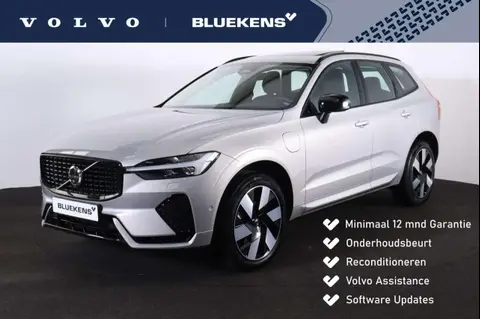 Used VOLVO XC60 Hybrid 2024 Ad 