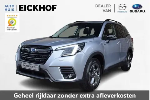 Used SUBARU FORESTER Petrol 2024 Ad 