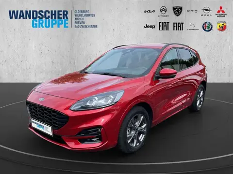 Used FORD KUGA Hybrid 2020 Ad Germany