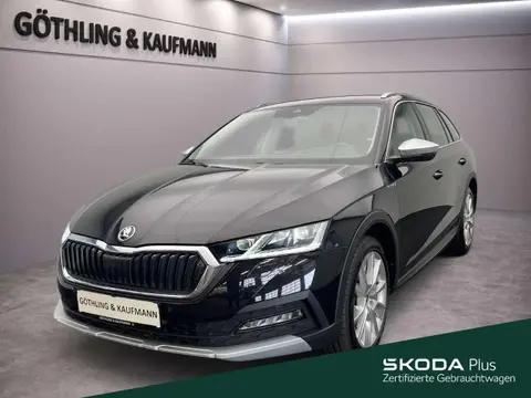 Annonce SKODA OCTAVIA Essence 2022 d'occasion 