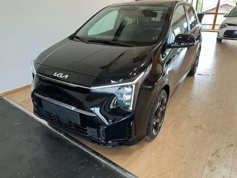 Annonce KIA PICANTO Essence 2024 d'occasion 