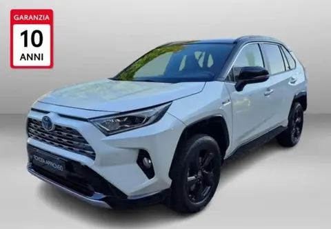 Used TOYOTA RAV4 Hybrid 2019 Ad 