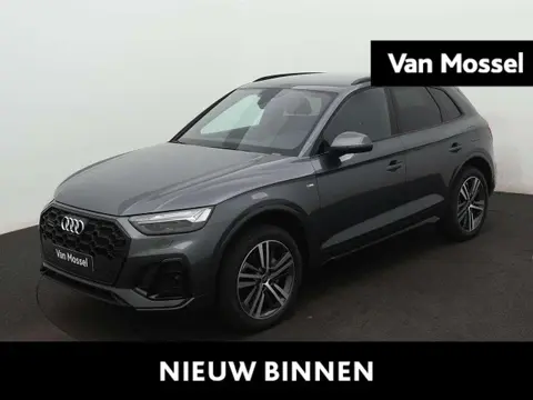 Used AUDI Q5 Hybrid 2024 Ad 