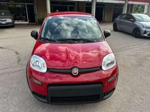 Used FIAT PANDA Hybrid 2024 Ad 