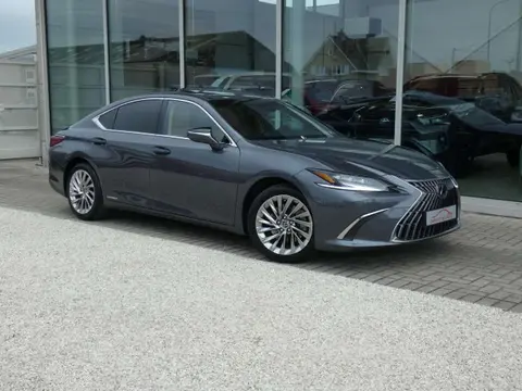 Annonce LEXUS ES Hybride 2022 d'occasion 