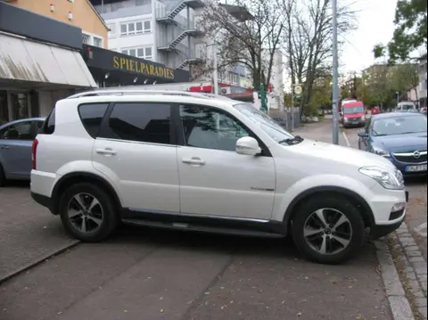 Used SSANGYONG REXTON Diesel 2017 Ad 