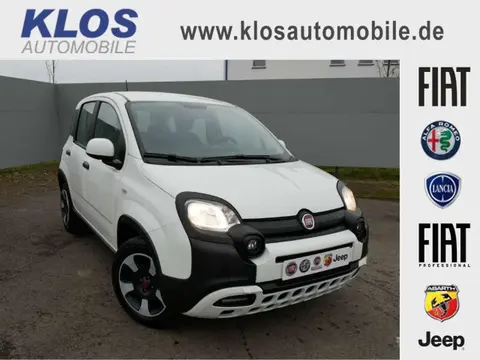 Annonce FIAT PANDA Hybride 2023 d'occasion 