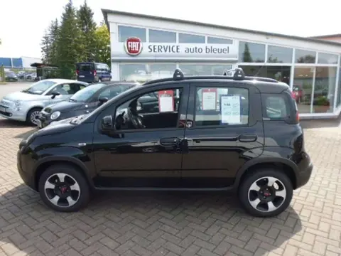 Used FIAT PANDA Petrol 2023 Ad 