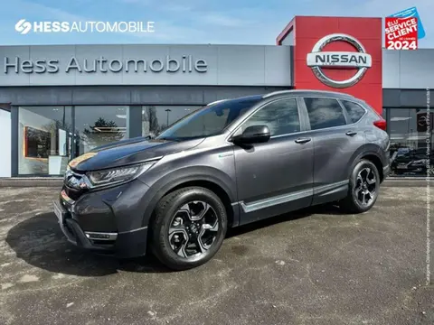 Used HONDA CR-V  2019 Ad 