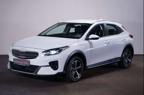 Annonce KIA XCEED Hybride 2022 d'occasion 