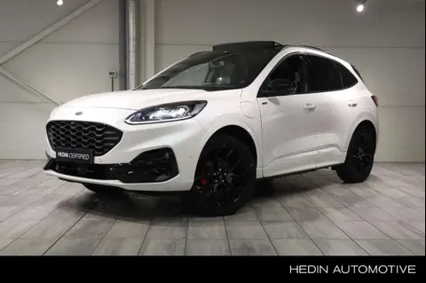 Annonce FORD KUGA Hybride 2023 d'occasion 